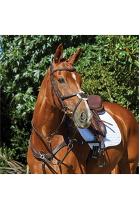 Collegiate Comfitec Grackle Bridle 100637700 - Brown